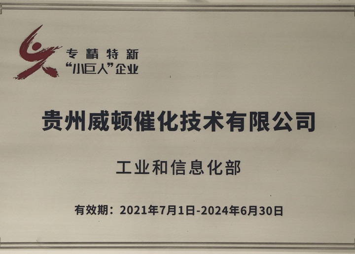 Specialized, refined, and innovative "Little Giant" enterprise